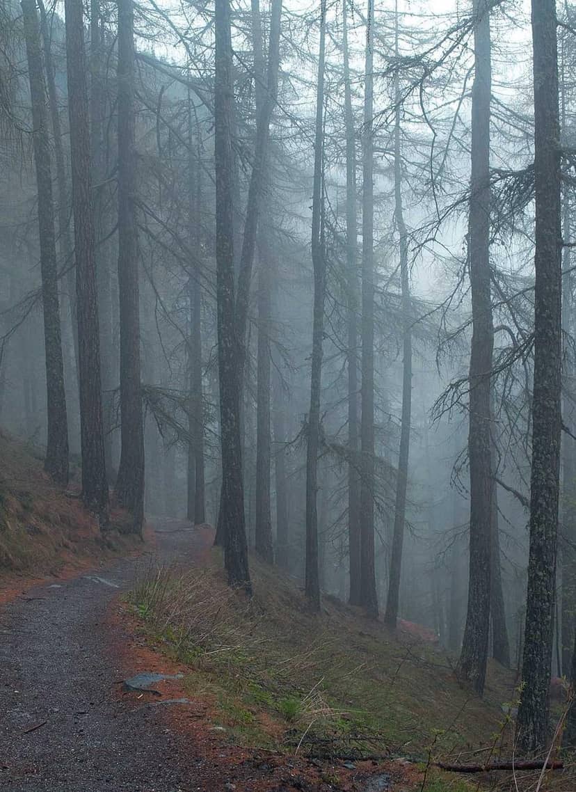 Unauth title xofYKiJU